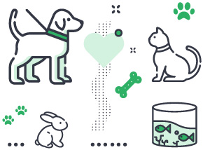 Pets and animals Instagram accounts