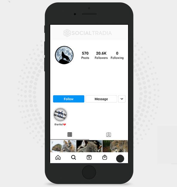 Instagram account Wolf Animals (18.4k Followers)