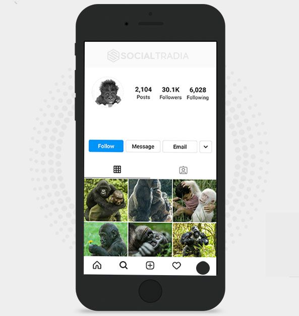 Instagram account Gorilla (30.1 k Followers)