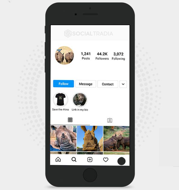 Instagram account Rhinoceros (39.5 k Followers)