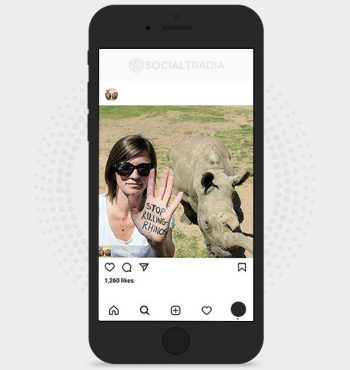 buy Instagram account Rhinoceros (39.5 k Followers)