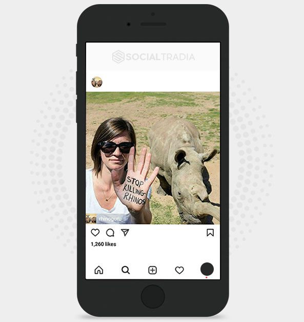 Instagram account Rhinoceros (39.5 k Followers)