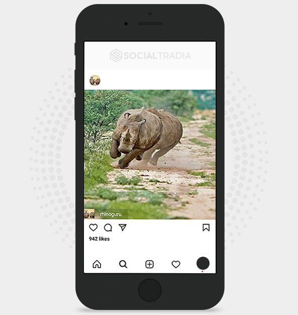 Instagram account Rhinoceros (39.5 k Followers)