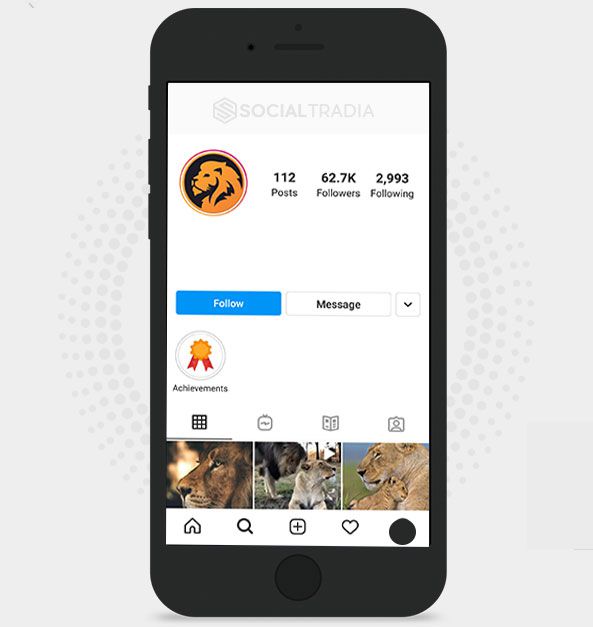 Instagram account Lion Animals (46.1 k Followers)