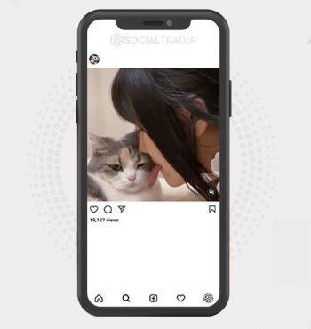 buy Instagram account Cats Are Lovely (129 k Followers)