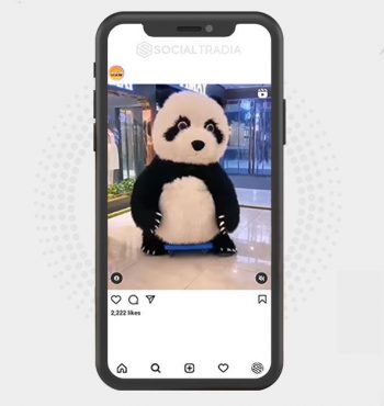 buy Instagram account Funny Panda (86.6 k Followers)