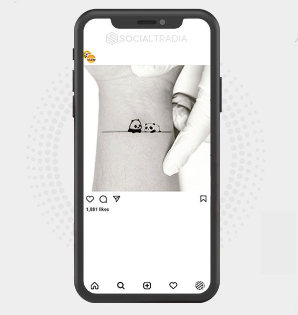 buy Instagram account Funny Panda (86.6 k Followers)