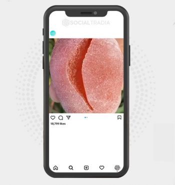 buy Instagram account Satisfying Vids (61.2 k Followers)