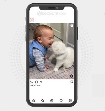 buy Instagram account About Babies (923 k Followers)