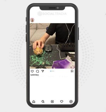 buy Instagram account About Hamster (36.9k Followers)