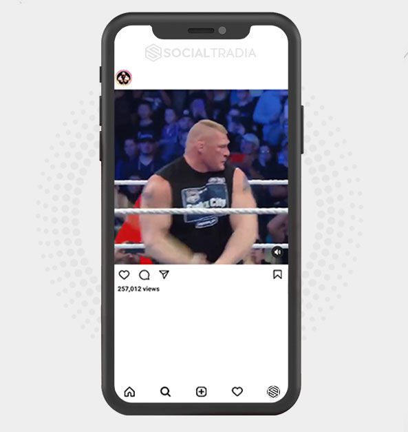 Brock MMA (93.1 k Followers) Social Tradia