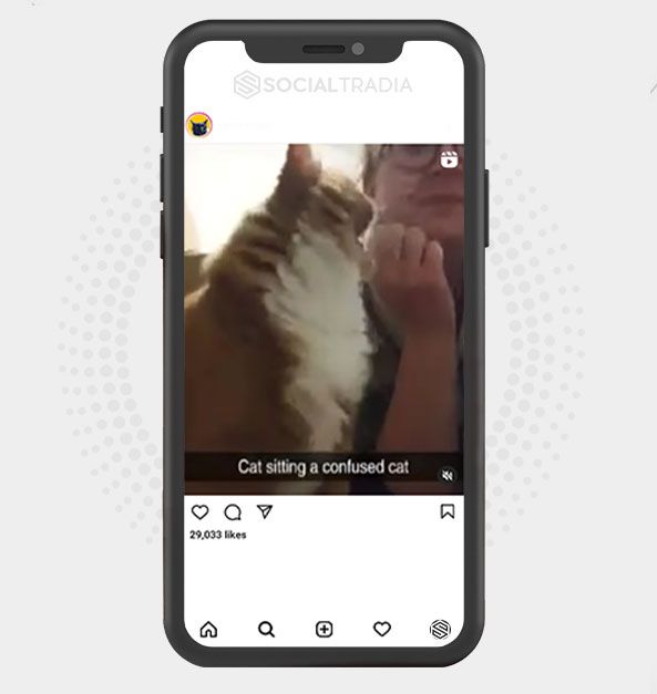 buy Instagram account All About Puppies (31 k Followers) buy Instagram account All About Puppies (31 k Followers)