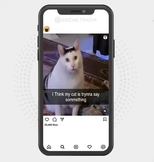 buy Instagram account All About Puppies (31 k Followers) buy Instagram account All About Puppies (31 k Followers)