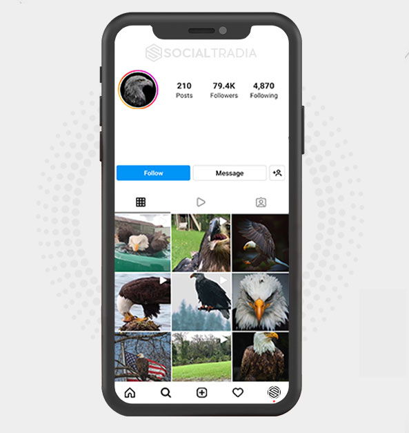 buy Instagram account EagleSociety (79.4 k Followers) buy Instagram account EagleSociety (79.4 k Followers)