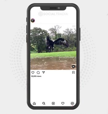 buy instagram account