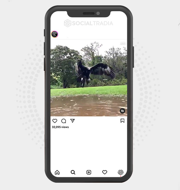 buy Instagram account EagleSociety (79.4 k Followers) buy Instagram account EagleSociety (79.4 k Followers)