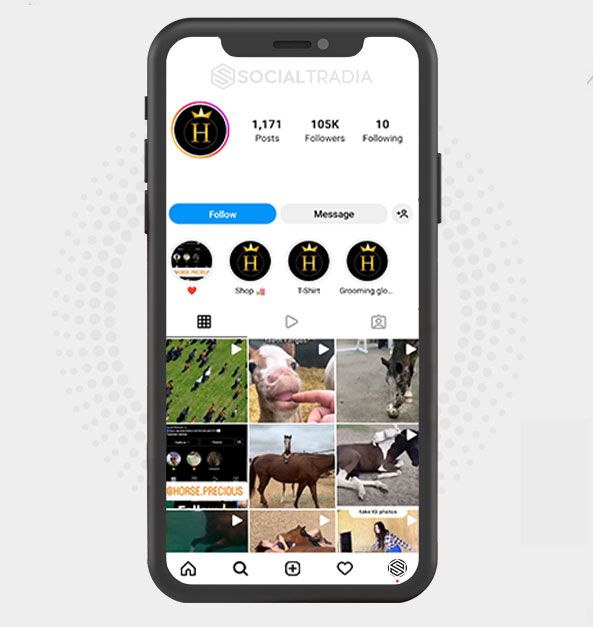 buy Instagram account Horse Brand (87.2 k Followers)