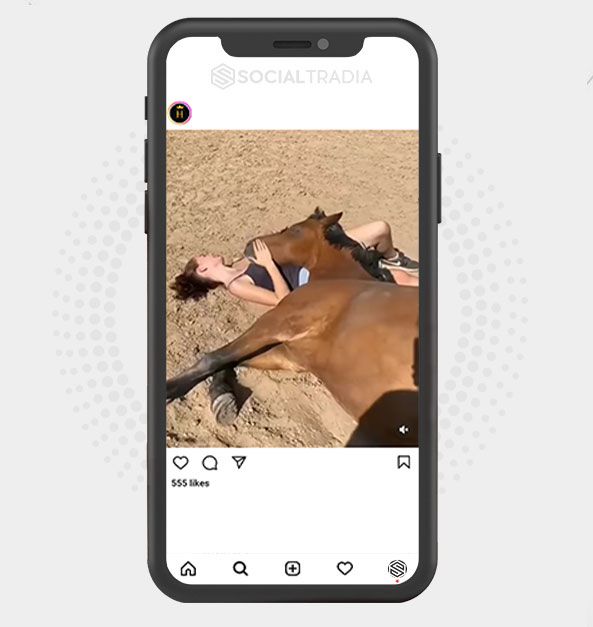buy Instagram account Horse Brand (87.2 k Followers)