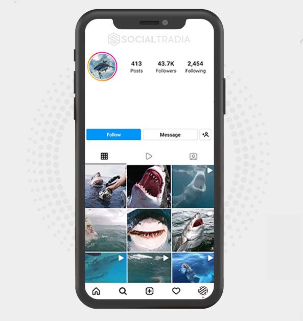 buy Instagram account SharksMag (116 k Followers) buy Instagram account SharksMag (116 k Followers)
