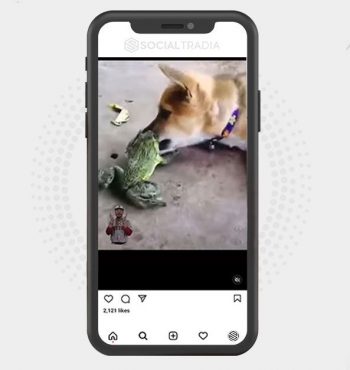 buy instagram account