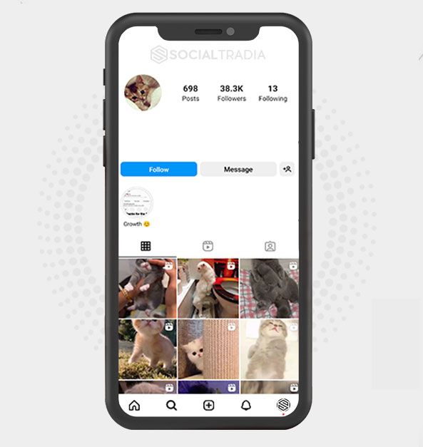 buy Instagram account KittyPet (38.3 k Followers)