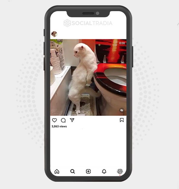 buy Instagram account KittyPet (38.3 k Followers)
