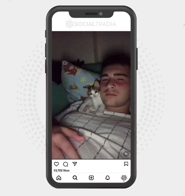 Instagram account CattPet (102 k Followers)