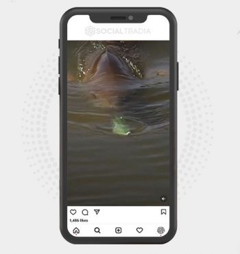 buy instagram account