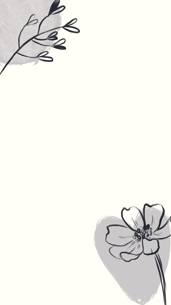 All You Need to Know about Instagram Story Background Social Tradia