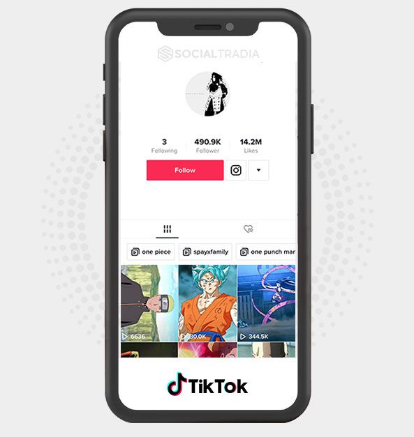 TikTok account AnimeHere (582 k Followers)