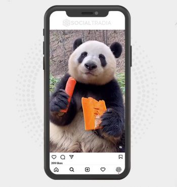 buy instagram account