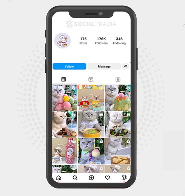 buy Instagram account KittyCommunity (176 k Followers) buy Instagram account KittyCommunity (176 k Followers)