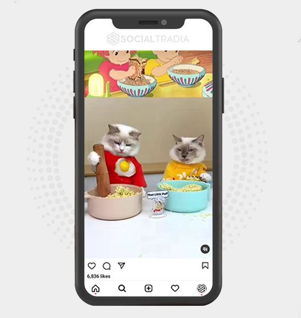 buy Instagram account KittyCommunity (176 k Followers) buy Instagram account KittyCommunity (176 k Followers)