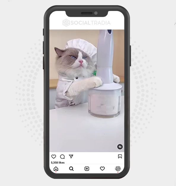buy Instagram account KittyCommunity (176 k Followers) buy Instagram account KittyCommunity (176 k Followers)