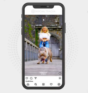 buy instagram account