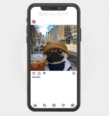 buy instagram account