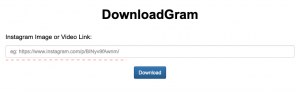 DownloadGram video download Instagram