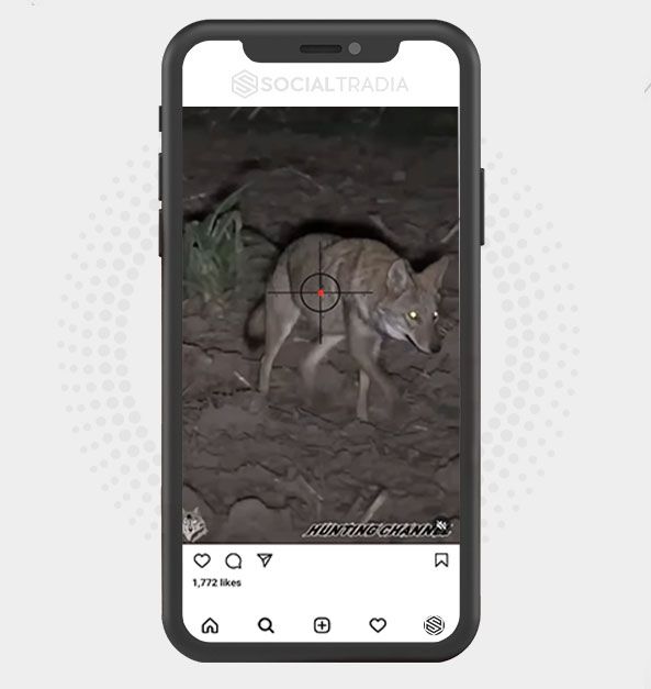 Instagram account Love Hunting (148 k Followers)