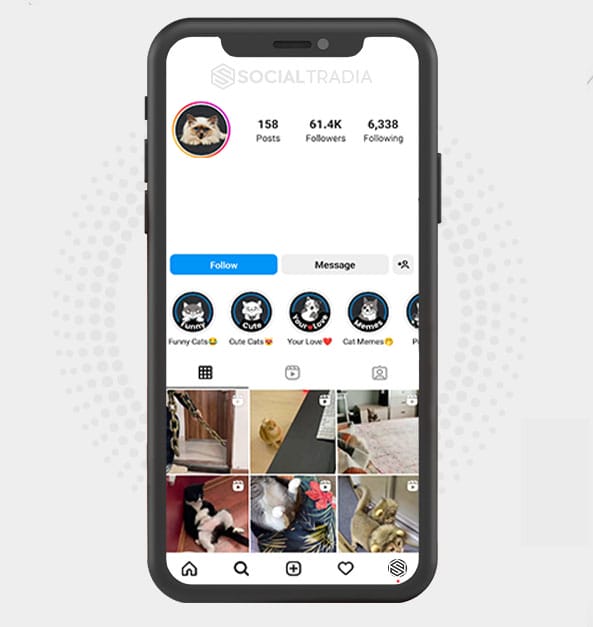 buy Instagram account LifeKitty (80.4 k Followers) buy Instagram account LifeKitty (80.4 k Followers)