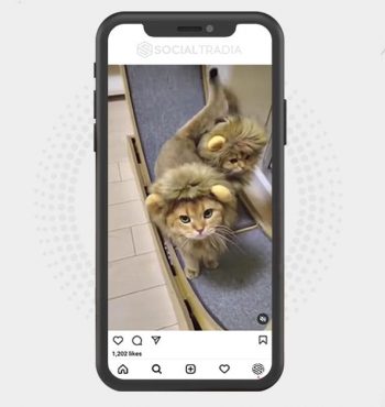 buy instagram account