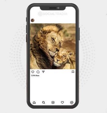 buy instagram account