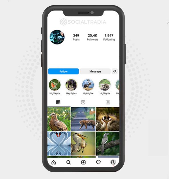 buy Instagram account AnimalFriendly (25.4 k Followers)