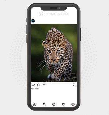 buy instagram account
