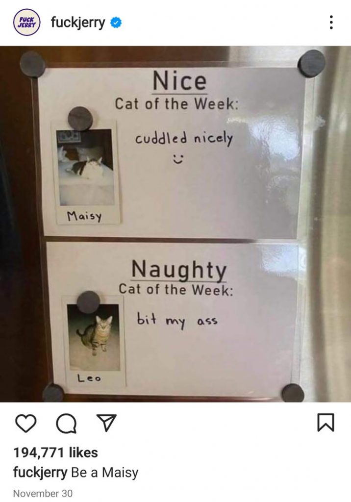 instagram meme profile