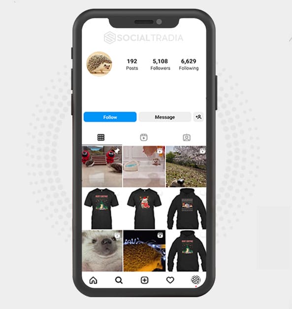 Instagram account Hedgehog Cute (5.1 k Followers)
