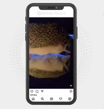 buy instagram account