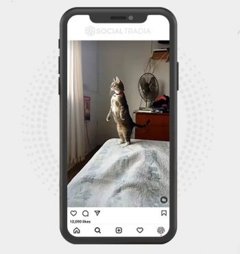 buy instagram account