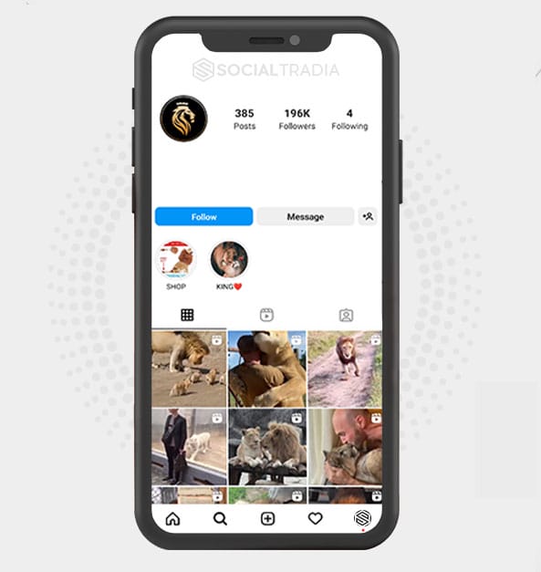 buy Instagram account LionKing (196 k Followers) buy Instagram account LionKing (196 k Followers)