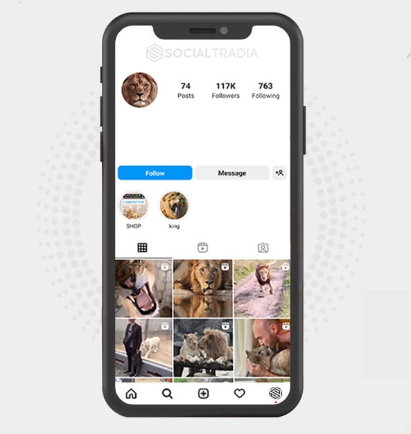 buy Instagram account LionLand (117 k Followers) buy Instagram account LionLand (117 k Followers)