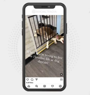buy instagram account
